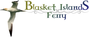 Blasket Islands Ferry and Boat Trips
